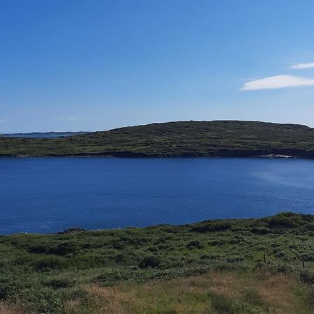 Conneelys Cottage, Connemara, Clifden, H71Y096 Εξωτερικό φωτογραφία